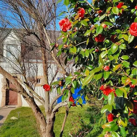 Hébergement de vacances Brocéliande Le Croisic